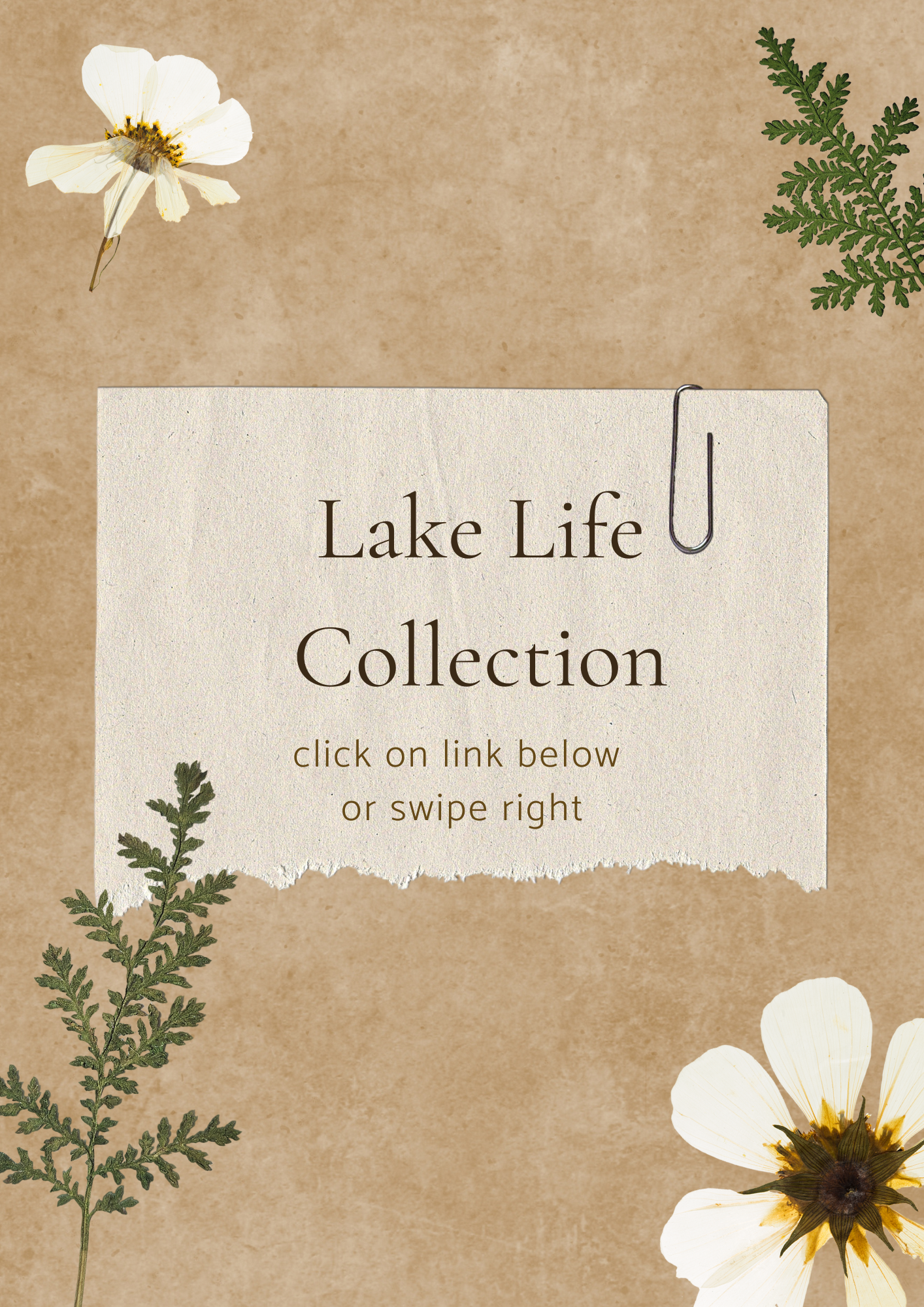 Lake Life Collection