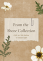 From the Shore