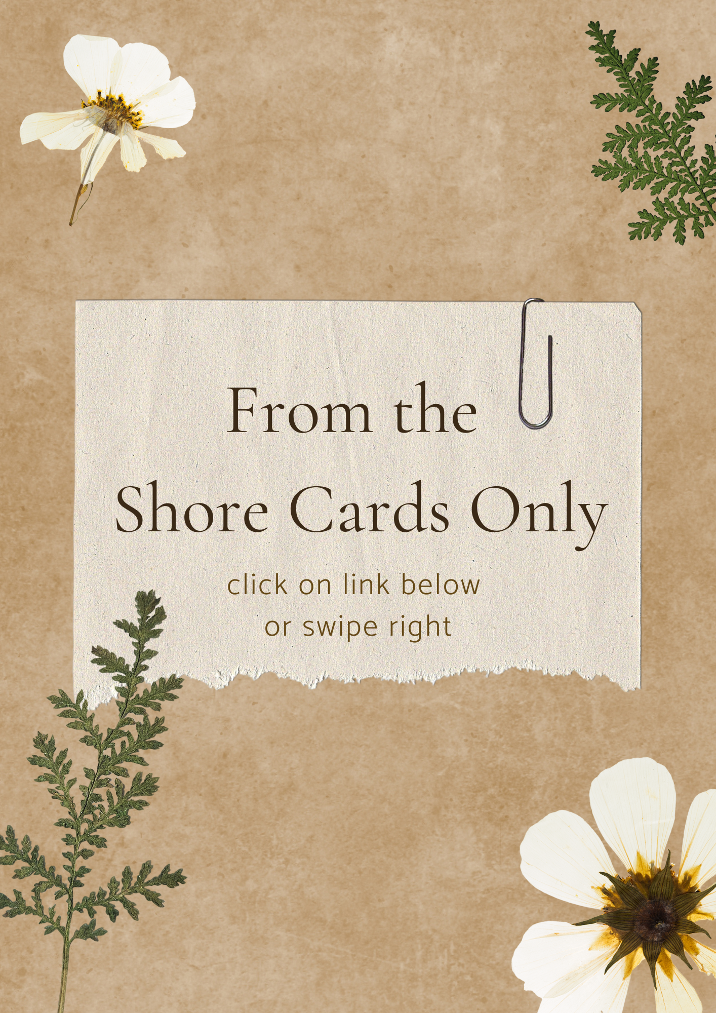 From the Shore Cards only