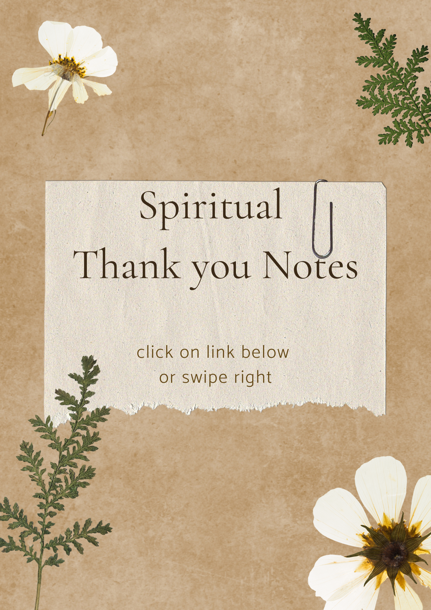 Scripture Thank You Notecards and Envelopes