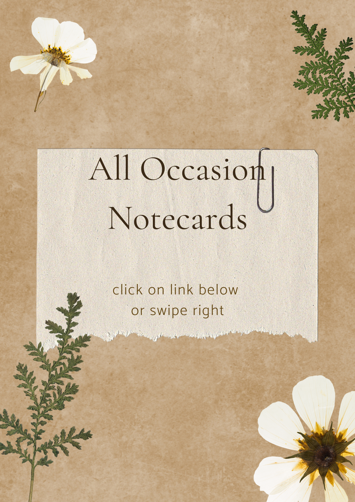 All Occasion Scripture Notecards