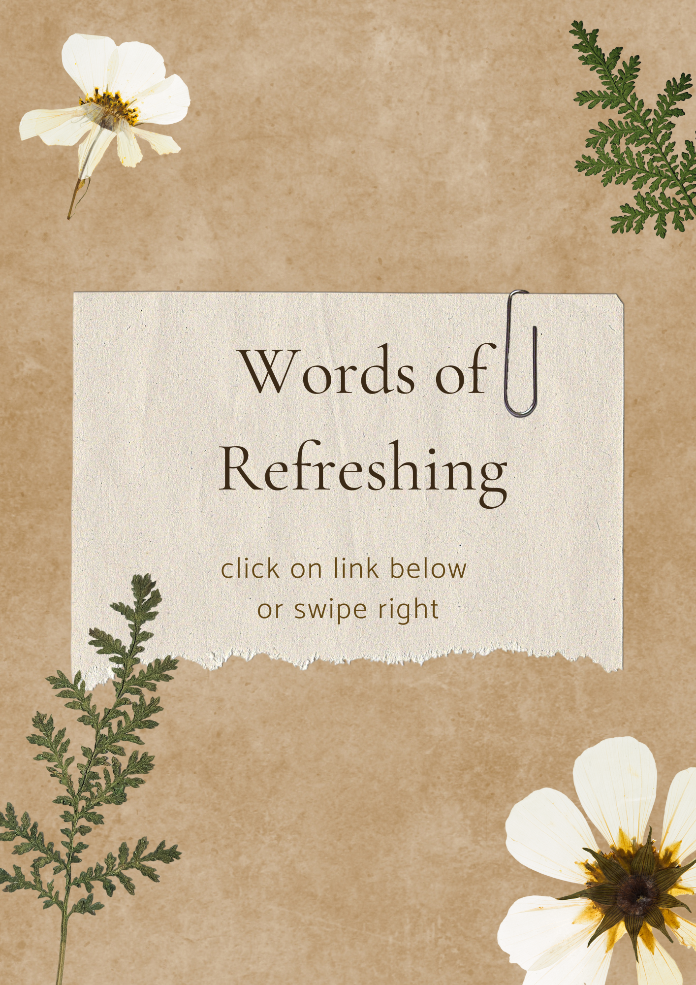 Words to refresh for women