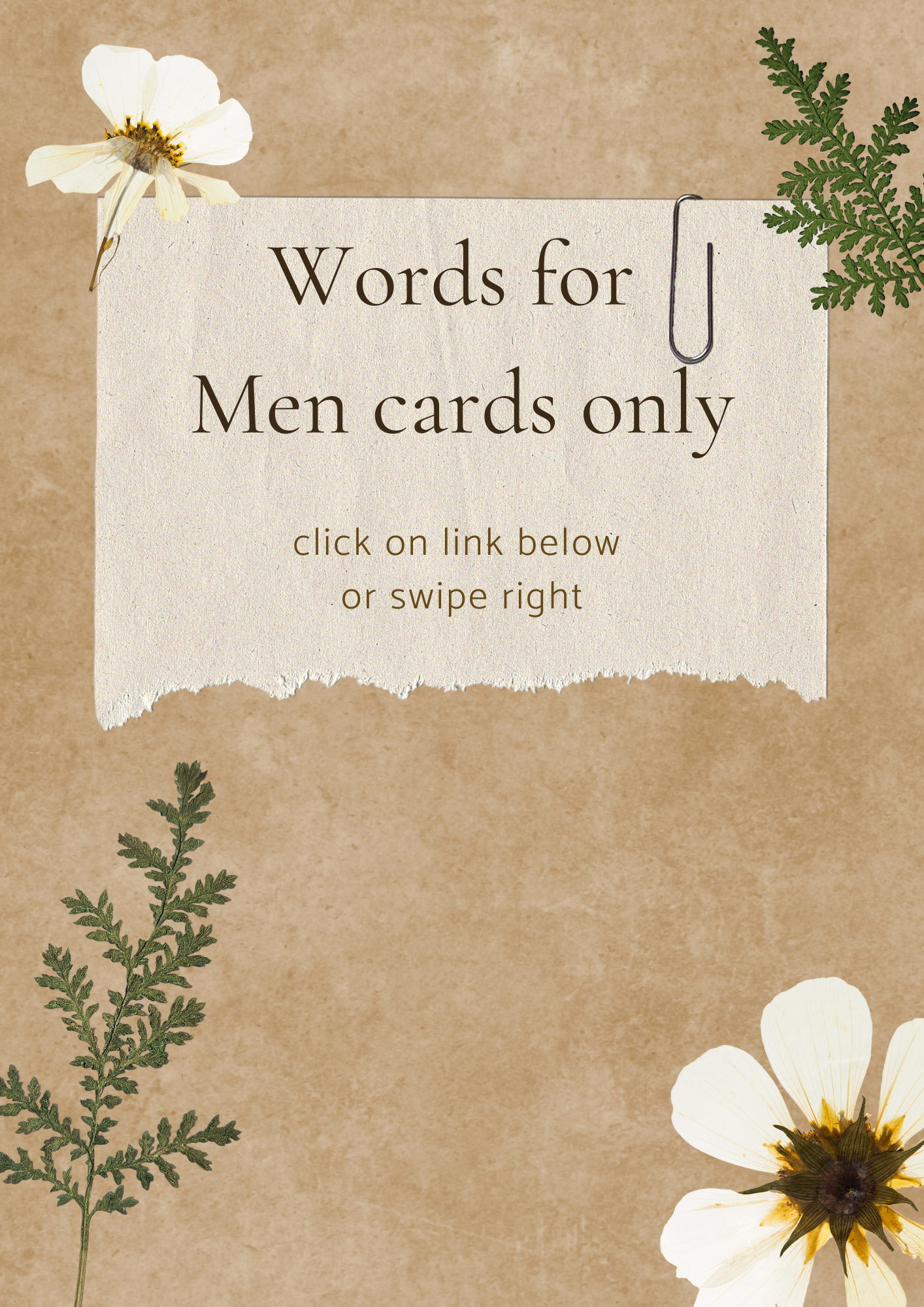 Words of Wisdom for Men (cards only)