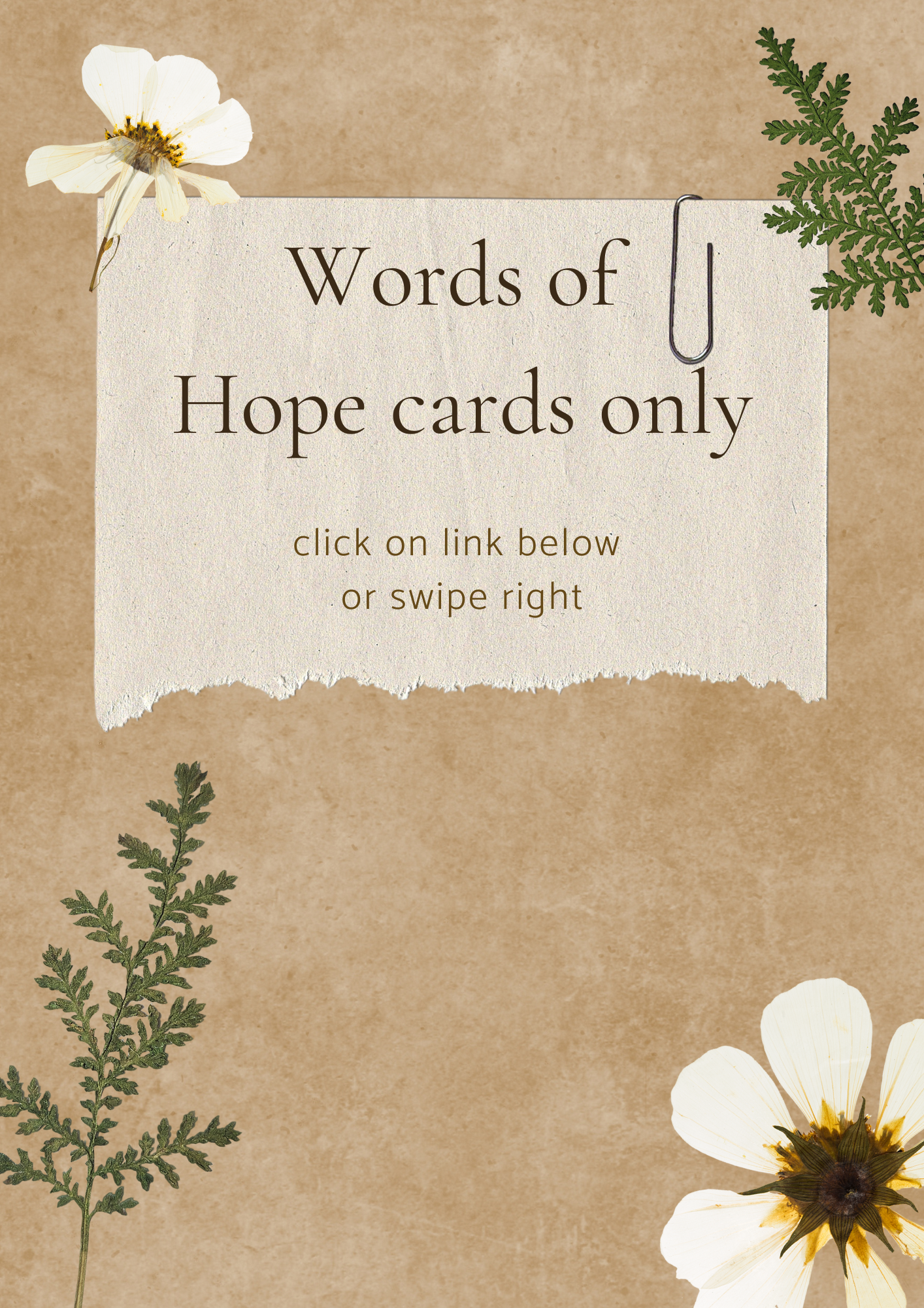 Words of Hope (cards only)